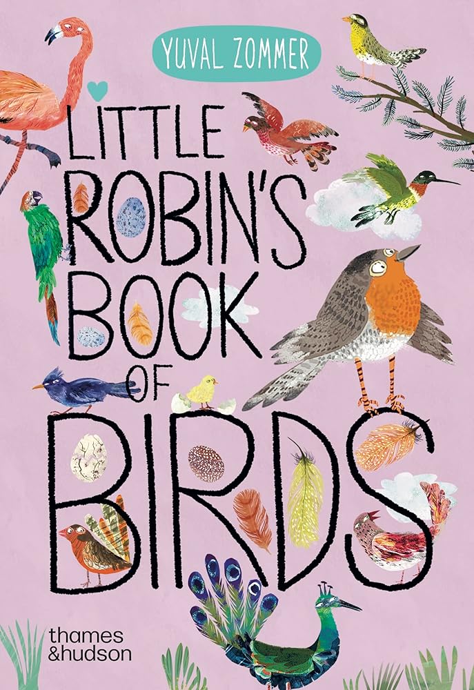 Little Robin's Book of Birds (The Big Book Series, 16) cover image