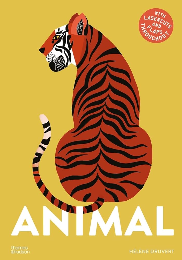 Animal /anglais cover image