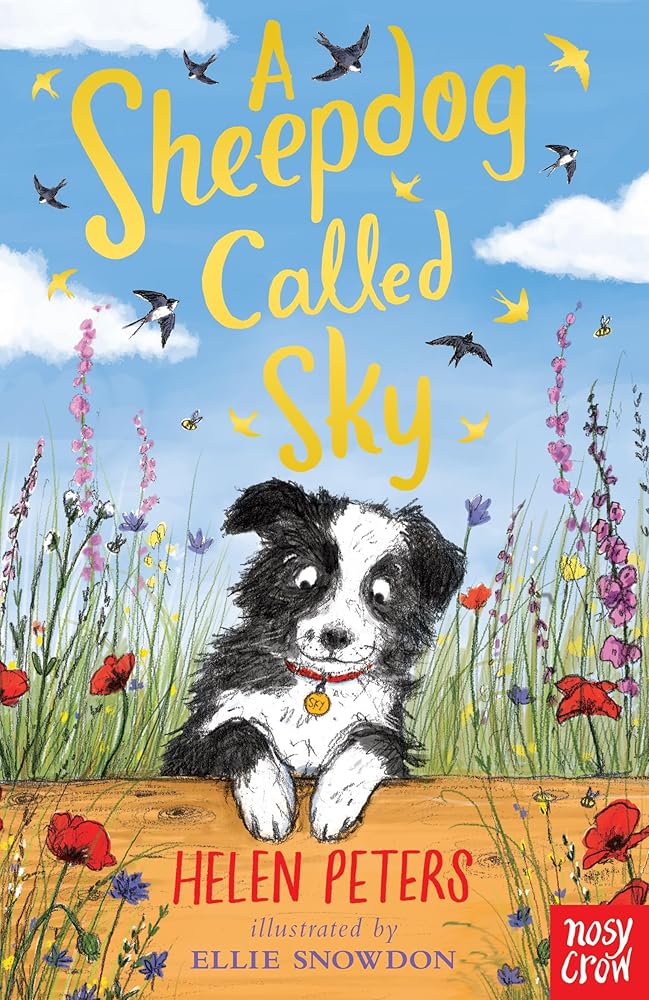 A Sheepdog Called Sky cover image