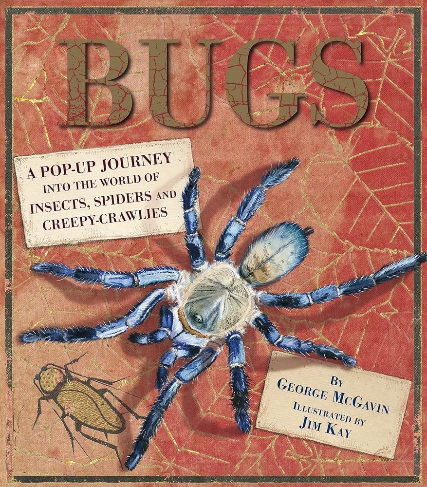 Bugs Pop Up cover image