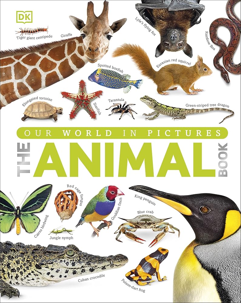 Our World in Pictures The Animal Book (DK Our World in Pictures) cover image