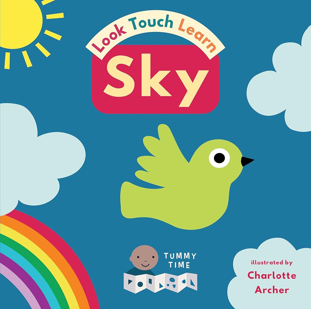 The Sky (Look Touch Learn) cover image