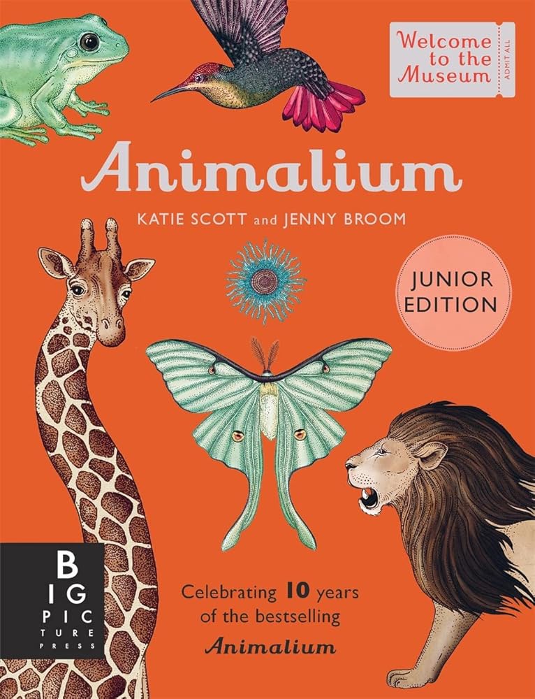 Animalium (Junior Edition) (Welcome To The Museum) cover image