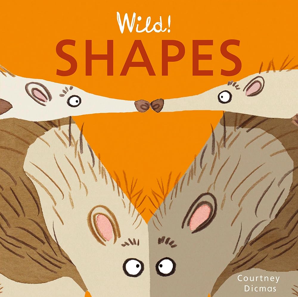 Wild! Shapes (Wild! Concepts) cover image