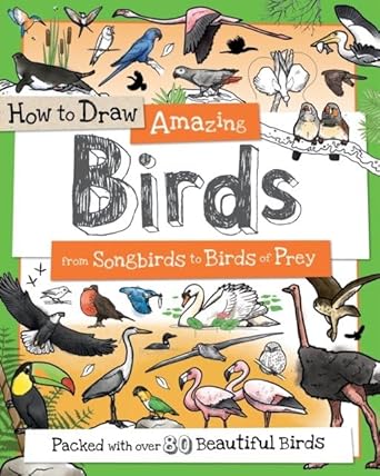 How to Draw Amazing Birds cover image