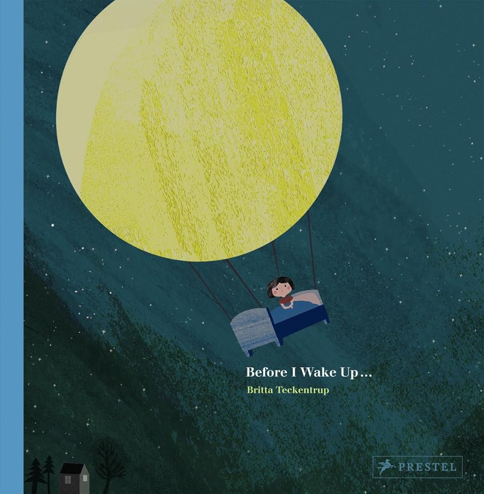 Before I Wake Up cover image