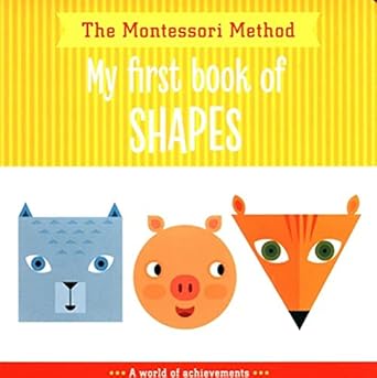 My First Book of Shapes cover image