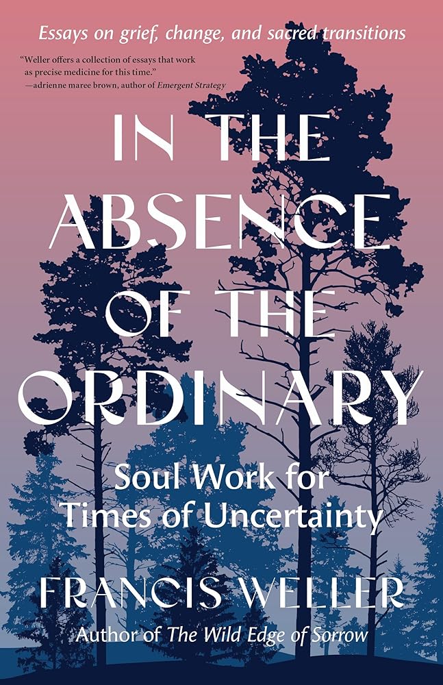 In the Absence of the Ordinary: Soul Work for Times of Uncertainty--Essays on grief, change, and sacred transitions cover image
